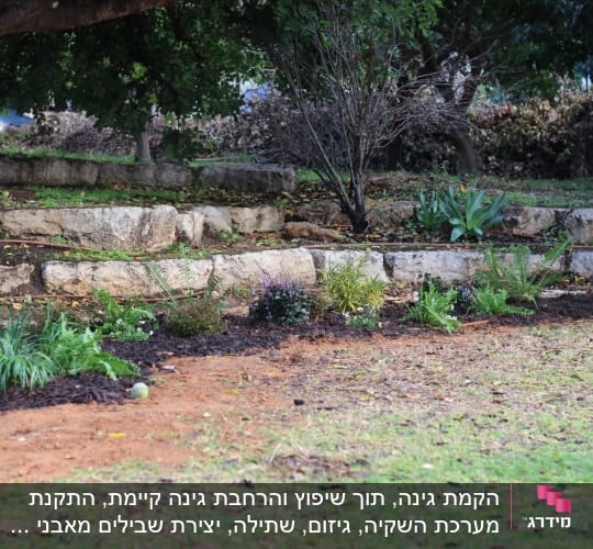 צמחים ופרחים בגינה עם אדמה טרייה
